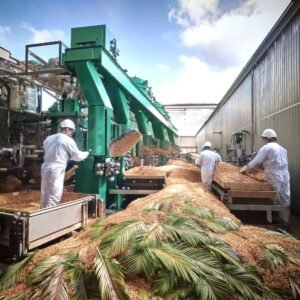 waste being processed into biodegradable packaging